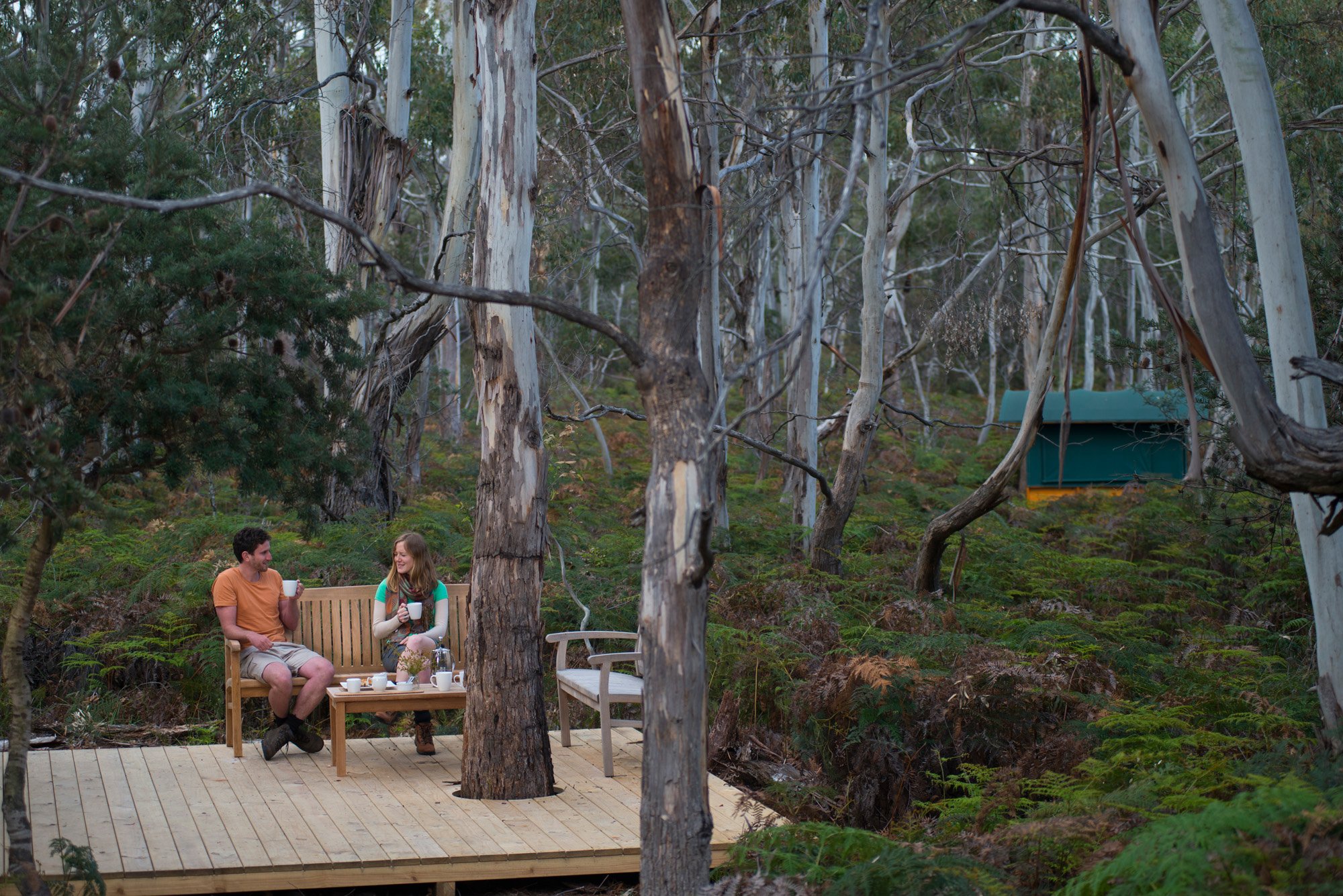Relaxing in the wilderness with The Maria Island Walk