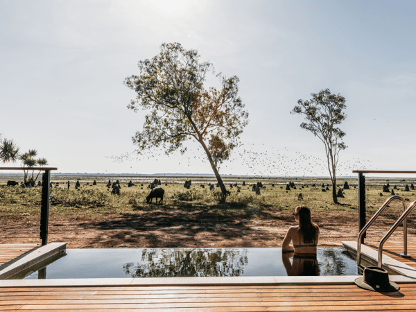 Bamurru-JabiruRetreat Bamurru-JabiruRetreat