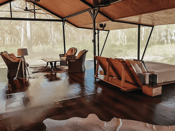 Bamurru-Kingfisher Bamurru-Kingfisher