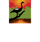 Bamurru Plains Logo White Text STACKED