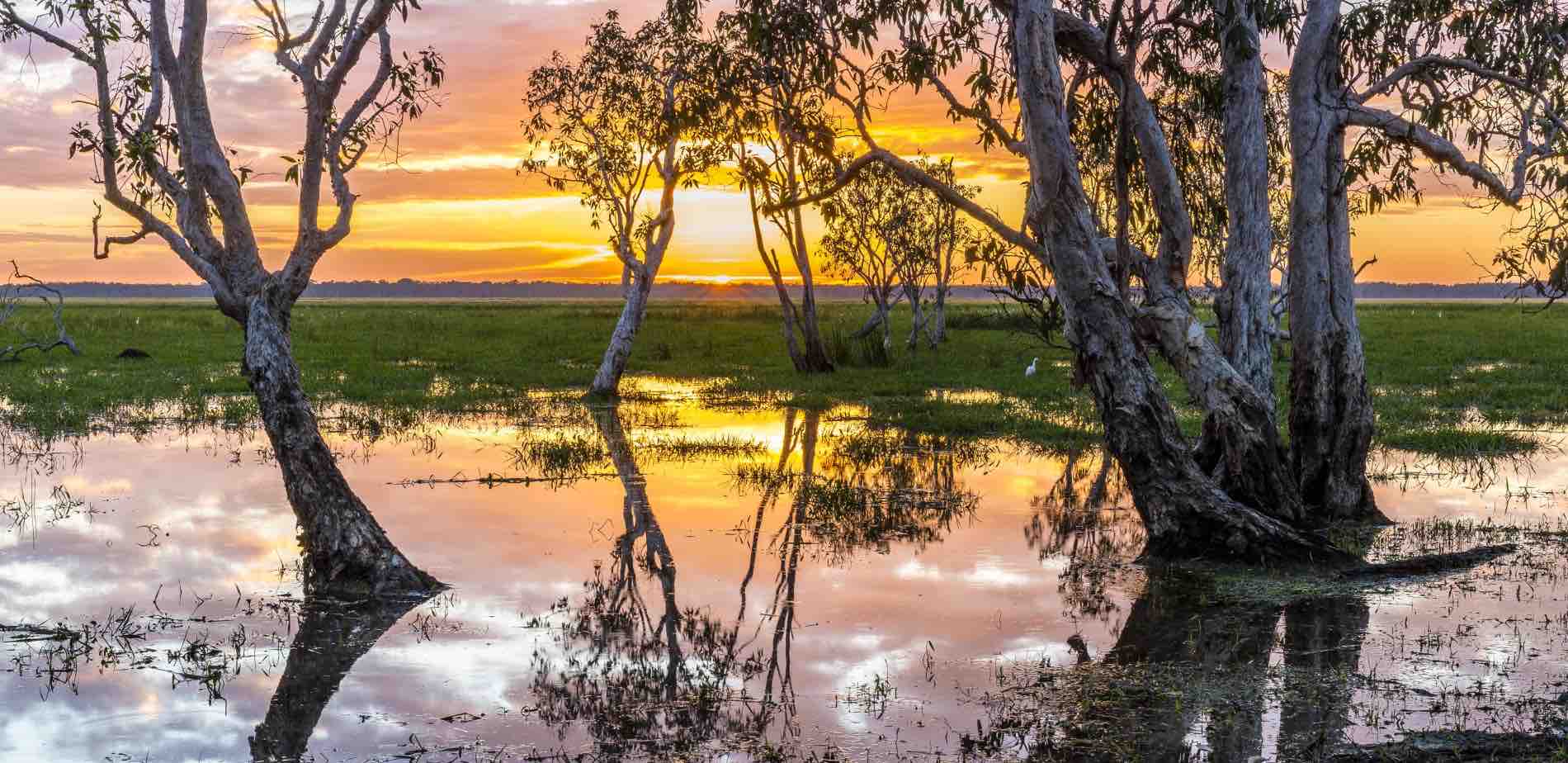 Bamurru-Plains-Seasons Bamurru-Plains-Seasons